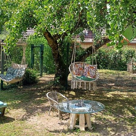 Studio Dans Belle Maison Ancienne Et Jardin Ferme L'Etoile  Zewnętrze zdjęcie