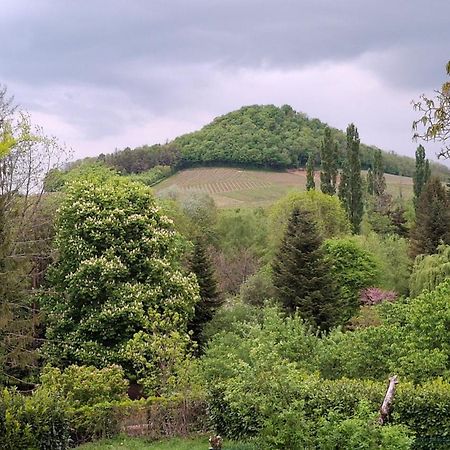 Studio Dans Belle Maison Ancienne Et Jardin Ferme L'Etoile  Zewnętrze zdjęcie