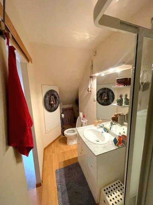 Studio Dans Belle Maison Ancienne Et Jardin Ferme L'Etoile  Zewnętrze zdjęcie