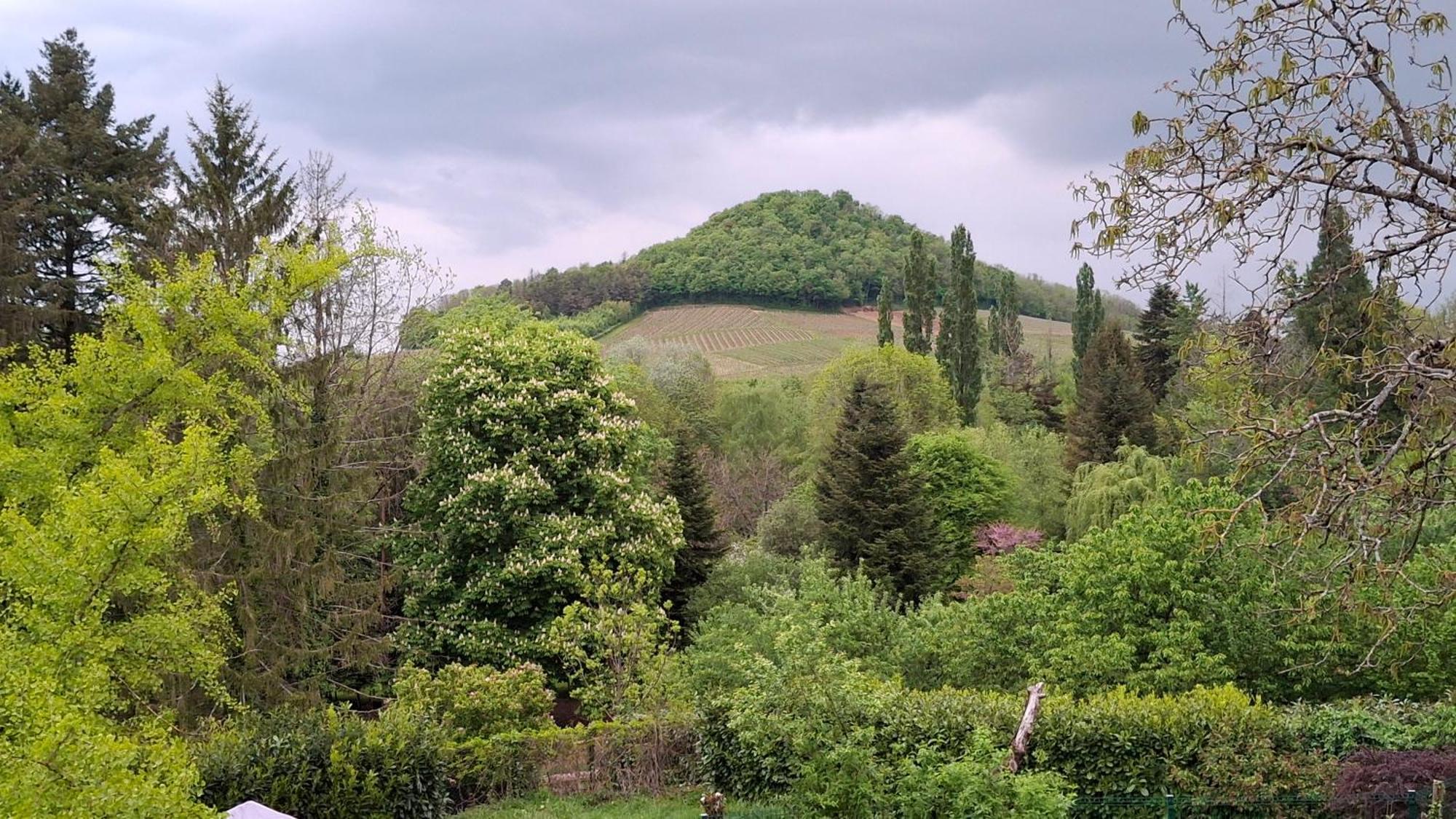 Studio Dans Belle Maison Ancienne Et Jardin Ferme L'Etoile  Zewnętrze zdjęcie